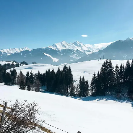 Alte Sahnealm 172w * Hollersbach im Pinzgau
